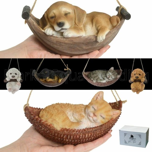 Cute kittens cats - cute, dogs