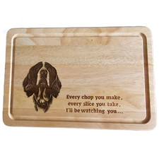 English Springer Spaniel Dog