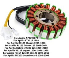 Dirt Racing Stator Coil