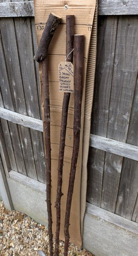 Blackthorn walking sticks - blackthorn,
