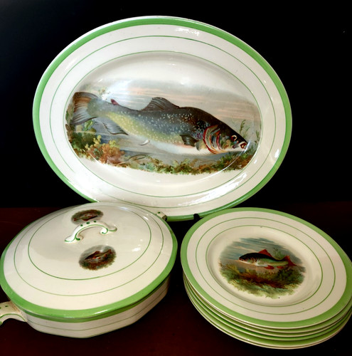 Beautiful shelton ivory - shelton,