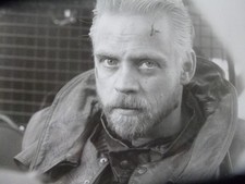 Star Wars MARK HAMILL hand signed photo