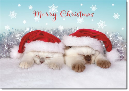 Doodlecards merry christmas - doodlecards,