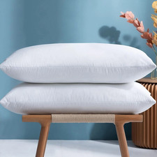 Goose Feather & Down Pillows