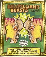 YoYo Bear Cards Bearilliant