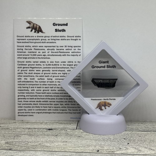 Giant ground sloth - giant,