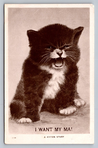 Postcard want ma black - postcard,