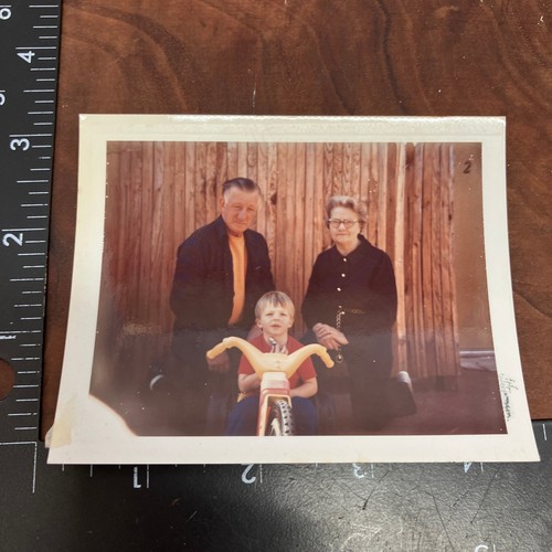 Vintage 1960s color family - 1960s,