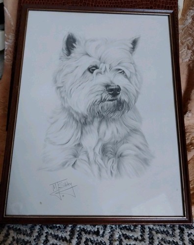 West highland terrier - west,
