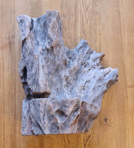 Large piece reptile - piece,