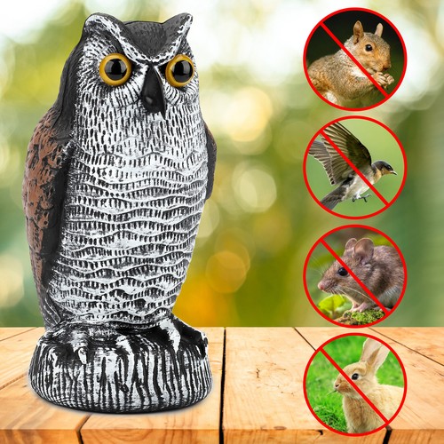 Owl decoy statue - owl,