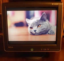 17 " Pure Flat CRT Monitor