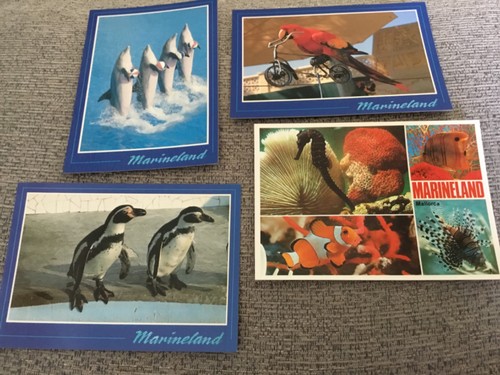Postcards marineland - postcards, of