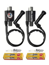 2x Ignition Coil & NGK Spark