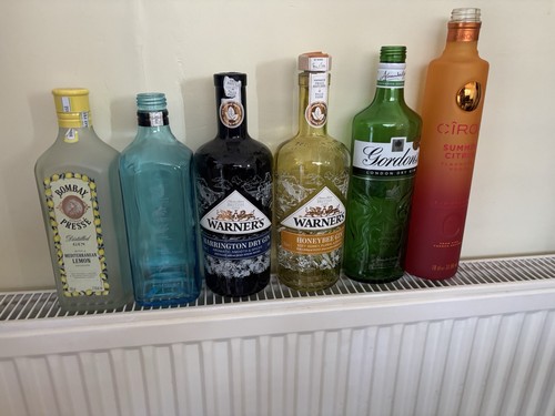 Bottles gin other great - 5,