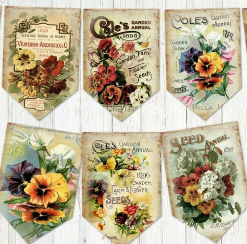 Vintage garden summer flower - garden,