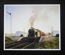 MALCOLM ROOT  9.20" x 7.40"