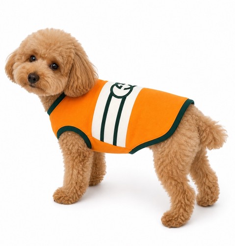 Gucci interlocking pet - gg,