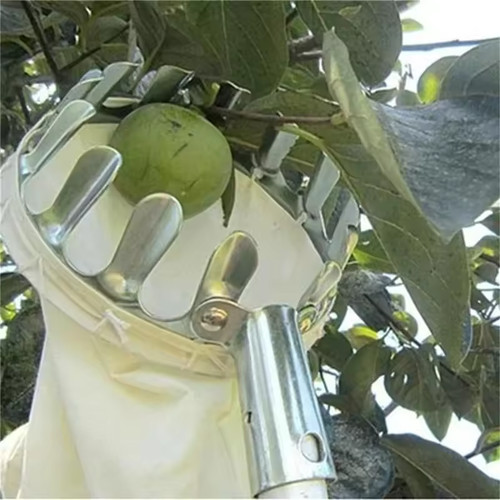 Farm metal fruit - farm,
