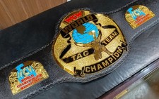 WCW World Tag Team