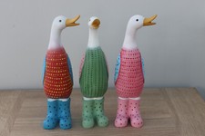 Cute Standing Ducks With