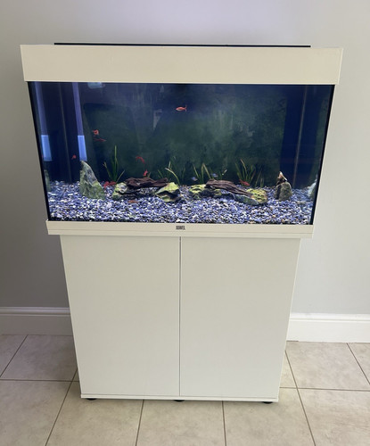 Juwel 125l glass rectangular - juwel,
