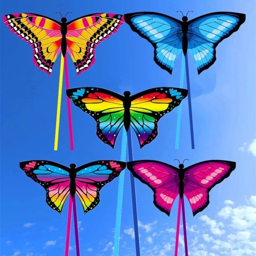 Easy flying kite colorful - flying,