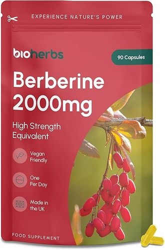 Berberine 2000mg high strength - high,