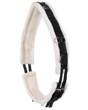 Lunging roller for horse - roller,