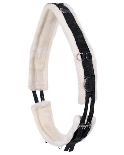 Lunging roller for - lunging,