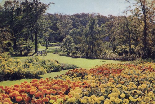 Postcard harlow car gardens - harlow,