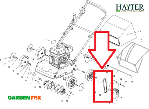 Genuine hayter scarifier belt - scarifier,