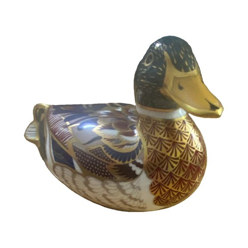 Royal crown derby - mallard, duck