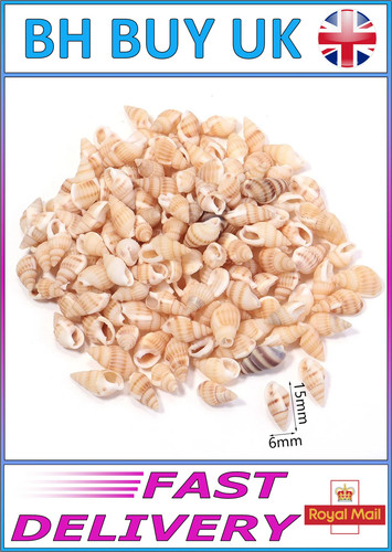 40g aquarium snail - aquarium, shells