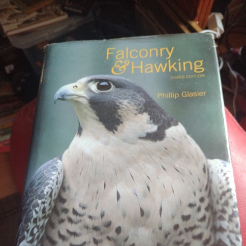 Falconry and hawking - falconry, by