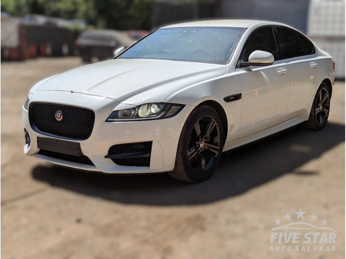 Jaguar d white - jaguar,