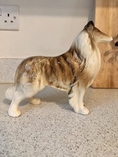 Vintage English Collie Dog