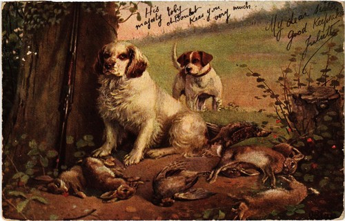 Cpa hunting hounds with - hunting,