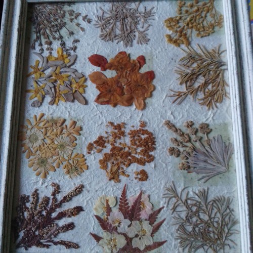 Joanna sheen pressed flowers - sheen,