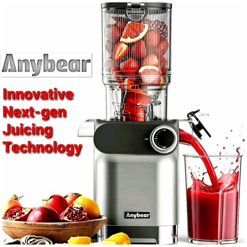 Anybear cold press juicer 200w - anybear,