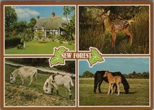 Hampshire Postcard - The New