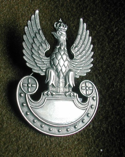 Beautifull polish army badge - beautifull,