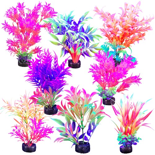 Marina iglo plant - marina, pink