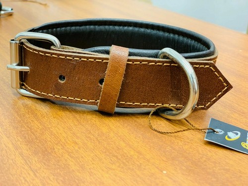 Strong beautiful leather dog - strong,