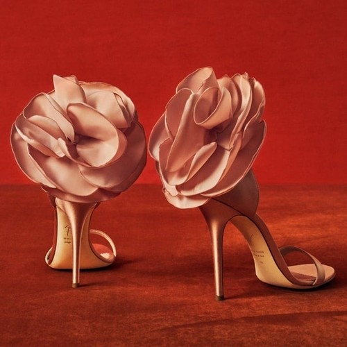 Bnib giuseppe zanotti peony - bnib,