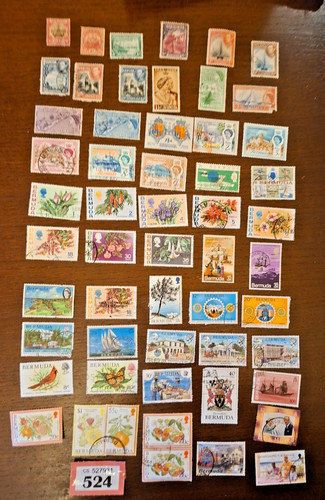 Bermuda selection 50 - selection, 50+