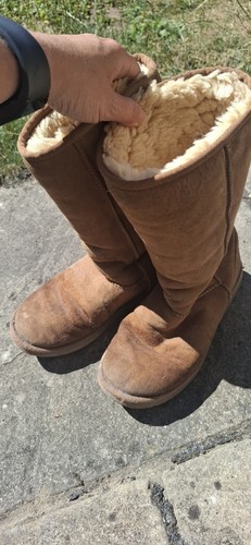 Chestnut tall ugg - chestnut,