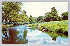 R791848 Leicestershire Bradgate Park Quiet waters