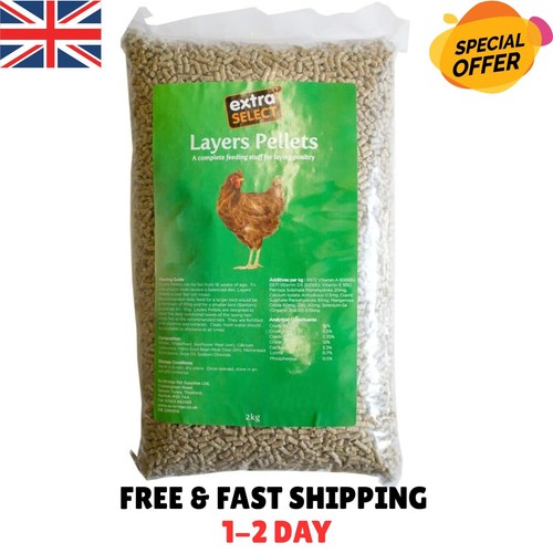 Chicken feed layers pellets - chicken,