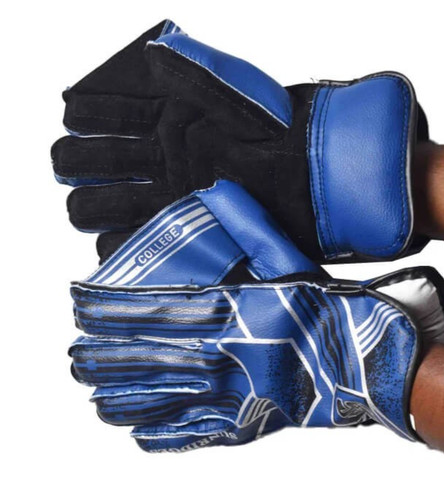 Cricket wicket keeping gloves - cricket,